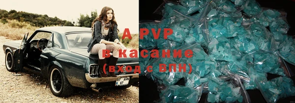сатива Бежецк