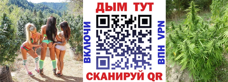 kraken зеркало  Полесск  Бошки Шишки Amnesia 